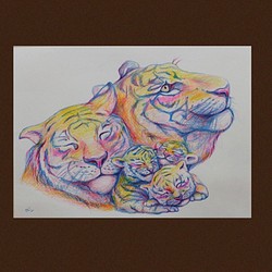 色鉛筆画　F4サイズ 画用紙　虎　寅　Tiger 1枚目の画像