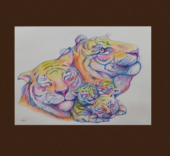 色鉛筆画　F4サイズ 画用紙　虎　寅　Tiger 1枚目の画像