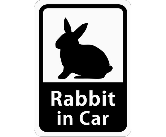 Rabbit in Car 「うさぎ」 車用ステッカー (マグネット) s10 1枚目の画像