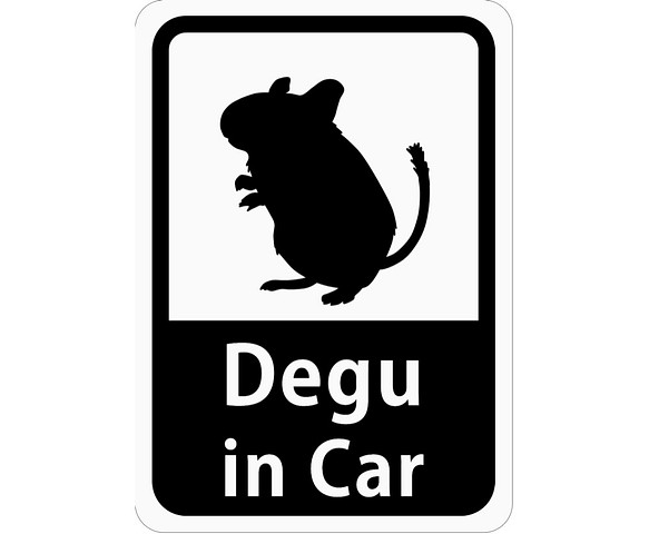 Degu in Car 「デグー」 車用ステッカー (マグネット) 1枚目の画像