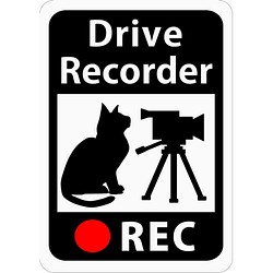 ドライブレコーダー搭載ステッカー 「猫とビデオカメラ」 (再剥離ステッカー) s22r 1枚目の画像