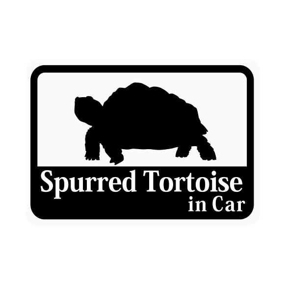 Spurred Tortoise ケヅメリクガメ 車用ステッカー マグネット マグネット Craft Bunny 通販 Creema クリーマ ハンドメイド 手作り クラフト作品の販売サイト