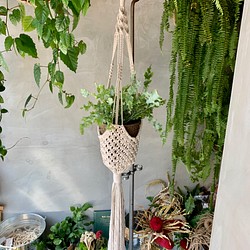 Hanging Planter ハンギングプランター その他インテリア雑貨 Crope 通販 Creema クリーマ ハンドメイド 手作り クラフト作品の販売サイト