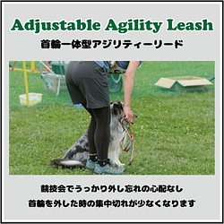 Ajustable Agility Leash（首輪一体型アジリティーリード） 1枚目の画像