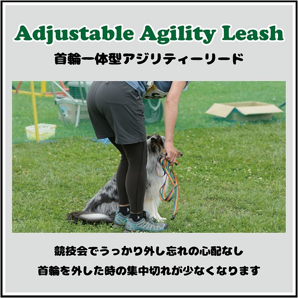 Agility leash clearance