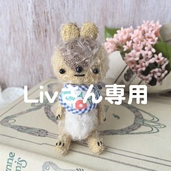 Livさん専用 ミニミニリス ぬいぐるみ Rie's bear 通販｜Creema(クリーマ)