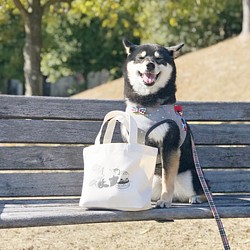 柴犬柄のランチトートバッグ/お散歩バッグ トートバッグ 銀くま 通販