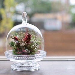 野の花のガラスドーム 1枚目の画像