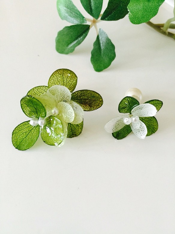 繡球花造型耳環【綠色漸層】 第1張的照片