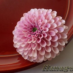 組み合わせ色々～中輪ぽんぽん菊のコサージュ＆髪飾り（ピンク） 1枚目の画像