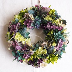 Wreath＊winter hydrangea 1枚目の画像