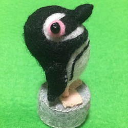 マゼランペンギン 1枚目の画像