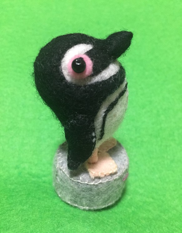 マゼランペンギン 1枚目の画像