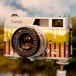 35mm是可以膠片相機Canno Kyano淨白色的花瓣。 第1張的照片