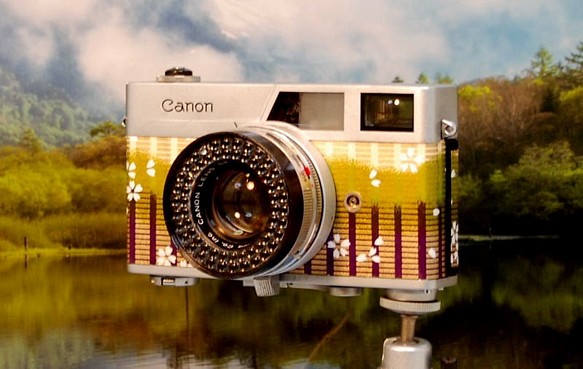35mm是可以膠片相機Canno Kyano淨白色的花瓣。 第1張的照片