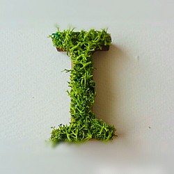 木製  アルファベットオブジェ(モス)３cm『Ｉ』×1点 1枚目の画像