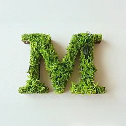 木製字母物件（苔蘚）3厘米“ M” x 1 第1張的照片