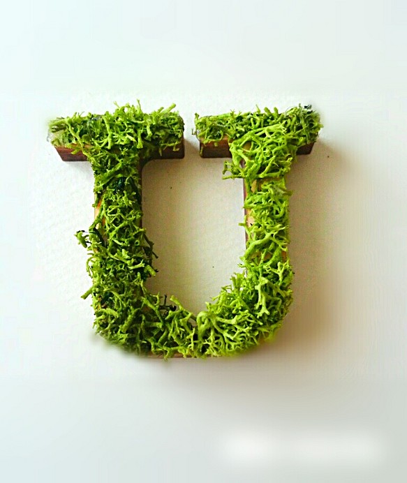 木製字母對象（苔蘚）3cm“ U” x 1 第1張的照片