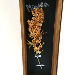 植物標本
ボックス ドライフラワー
(ミモザversion.) 1枚目の画像