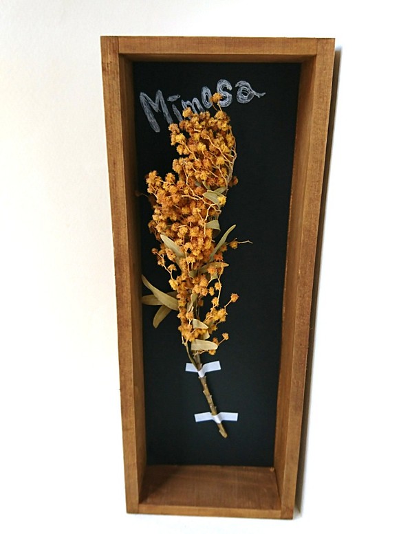 植物標本
ボックス ドライフラワー
(ミモザversion.) 1枚目の画像