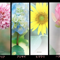 １６種類のお花の しおり しおり ブックマーク 花のささやき 通販 Creema クリーマ ハンドメイド 手作り クラフト作品の販売サイト