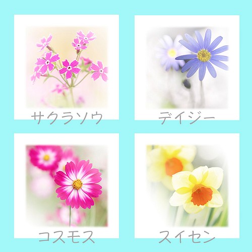 １３種類のお花から２種類を選べる可愛いお花のメモ帳 文房具 ステーショナリー 花のささやき 通販 Creema クリーマ ハンドメイド 手作り クラフト作品の販売サイト