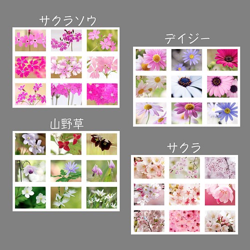 １６種類から選べる”お花のシール” シール・ステッカー 花のささやき 