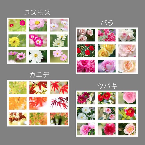 １６種類から選べる お花のシール シール ステッカー 花のささやき 通販 Creema クリーマ ハンドメイド 手作り クラフト作品の販売サイト