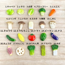 Creema自由研究 フードロスについて考えるお野菜マグネット 3種類セット マグネット 日なたの窓 通販 Creema クリーマ ハンドメイド 手作り クラフト作品の販売サイト