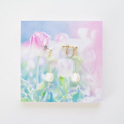 【チューリップ×ホワイト-Full*Bloom-】春を着飾るイヤリング※飾れるフォトパネル付！ 1枚目の画像