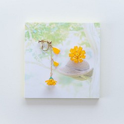 [萬壽菊-全*盛開-]耳環，用於裝飾春季和秋季*帶有照片裝飾面板！ 第1張的照片
