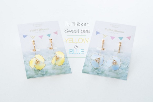Seasonal マーケット Wrap入荷 スイートピー-YELLOW BLUE- Full Bloom