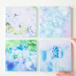SQU4RE-スクエア-【Blue Flower】新生活を彩るインテリアフォト 1枚目の画像
