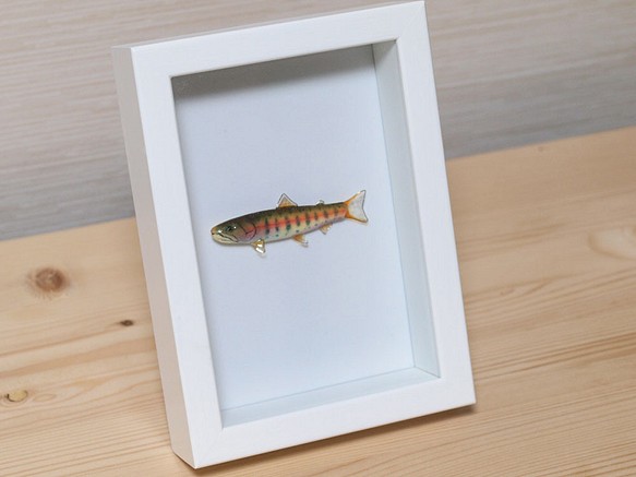 魚のアート/フィッシュフレーム(ヤマメ) 1枚目の画像