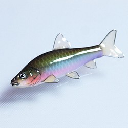 魚胸針/魚飾品 第1張的照片
