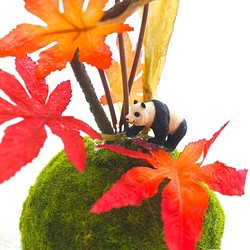 パンダの紅葉狩りフェイク苔玉アレンジ 1枚目の画像