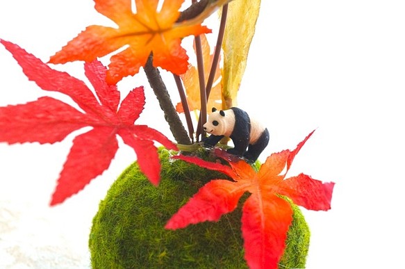 パンダの紅葉狩りフェイク苔玉アレンジ 1枚目の画像