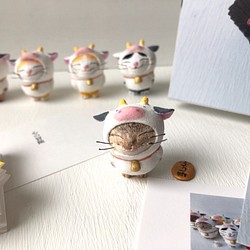 想成為十二生肖的貓新年套裝 Kijitora 第1張的照片