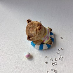 浮き輪猫さん〜キジトラ〜 1枚目の画像