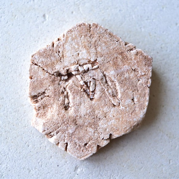 ドロマイト仮晶　ヘキサゴン　アメリカ産　41ｇ/鉱物・結晶原石 1枚目の画像