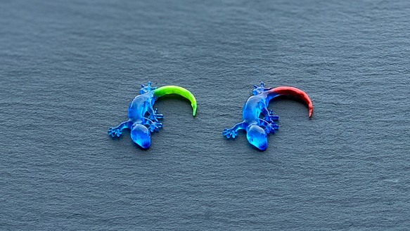 [NEW] 藍色蜥蜴耳套（單耳） 第1張的照片