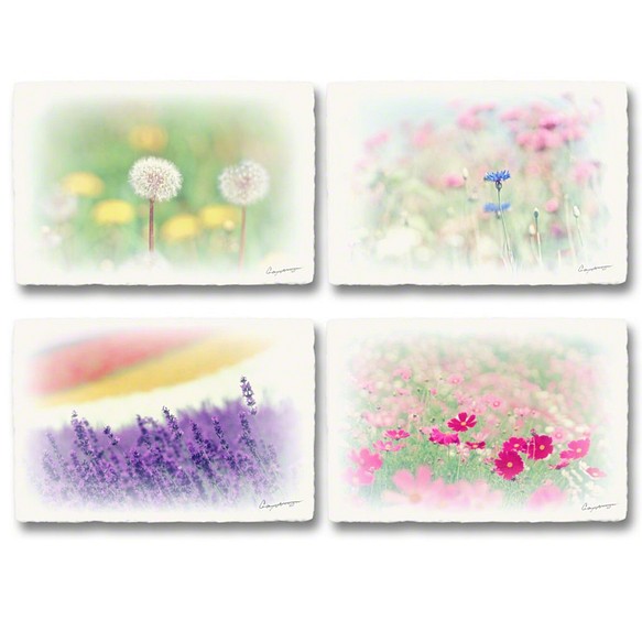 和紙のポストカード 花畑の花x4枚セット アート フォト インテリア 壁飾り 壁掛け おしゃれ 絵 絵画 ポスター 写真 グラフィック Natural Memories 通販 Creema クリーマ ハンドメイド 手作り クラフト作品の販売サイト