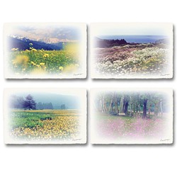 和紙のポストカード「花畑のある風景x4枚セット」アート フォト インテリア 壁飾り 壁掛け おしゃれ 絵 絵画 ポスター 1枚目の画像