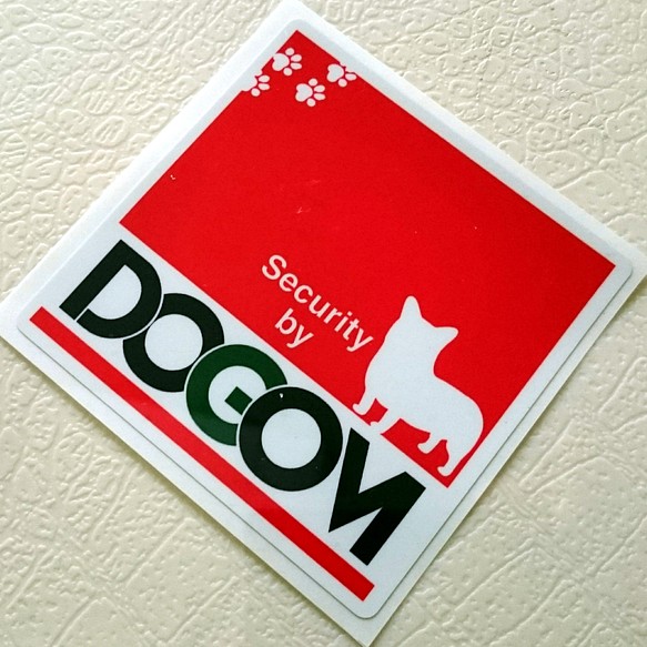 コーギー/DOGOM 1枚目の画像