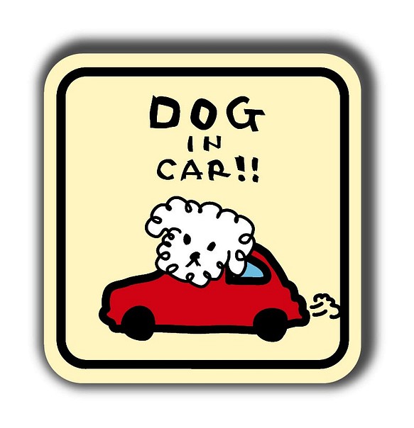 DOG IN CAR!!（白）※シール 1枚目の画像
