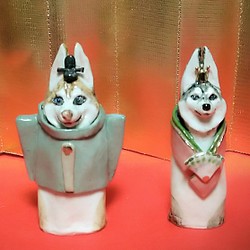 犬のお雛さま(シベリアンハスキー) 1枚目の画像