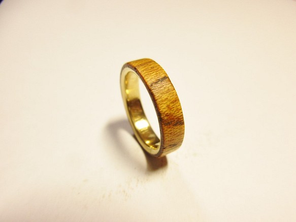 木材和黃銅環光葉櫸樹 第1張的照片