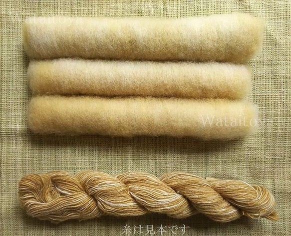 和綿白+和綿茶／無染色・自家自然栽培綿の篠（手紡ぎ用綿）　約2.0ｇ×3 1枚目の画像