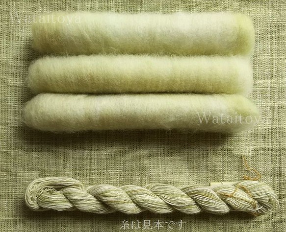 洋綿緑+洋綿白／無染色・自家自然栽培綿の篠（手紡ぎ用綿）　約2.0ｇ×3 1枚目の画像