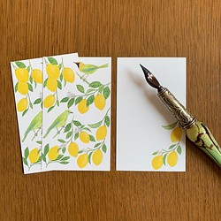 Message Card レモンと青羽木葉鳥 1枚目の画像